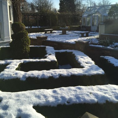 Shiney's garden