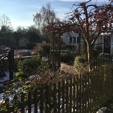 Shiney's garden