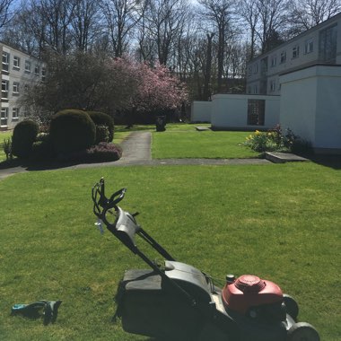 Shiney's garden