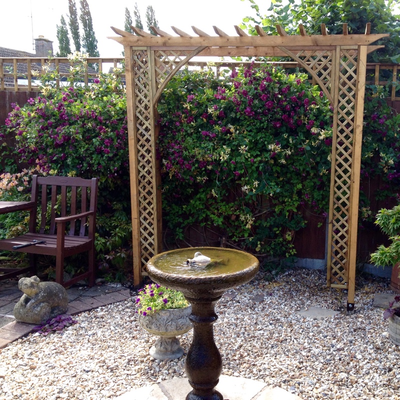 Sheila's garden