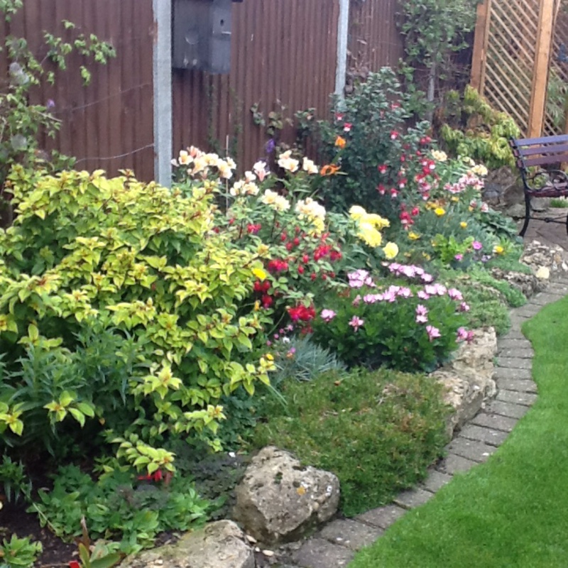Sheila's garden