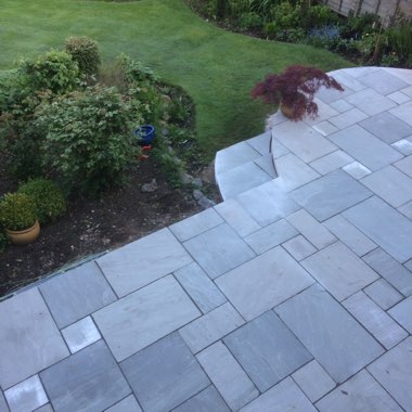 Steve's garden