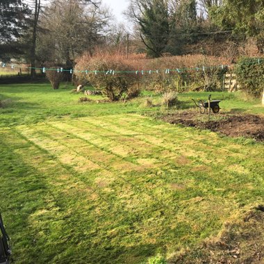 Simon's garden
