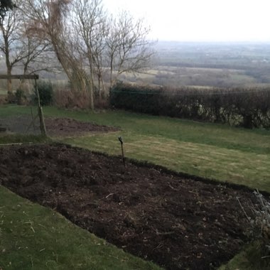 Simon's garden