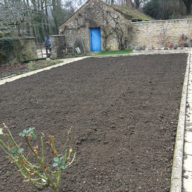 Simon's garden