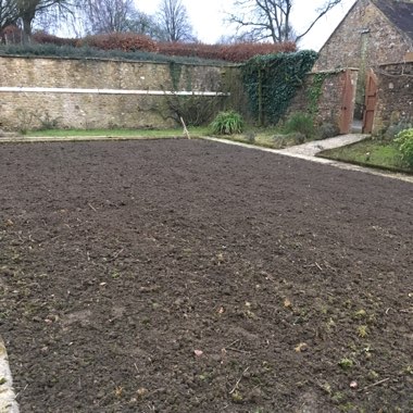 Simon's garden