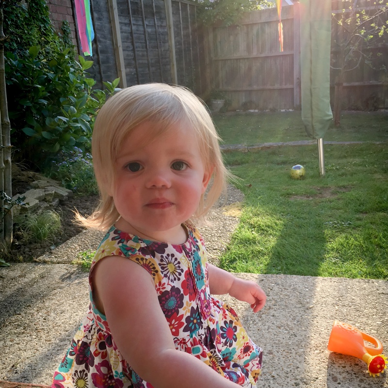 Sarah's garden