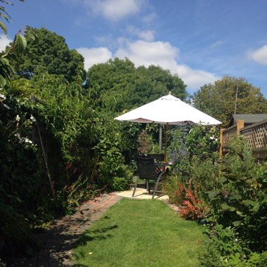 Sini's garden