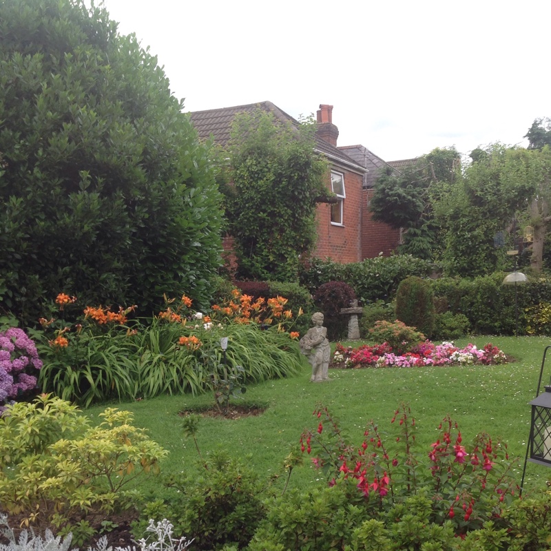 Chris's garden