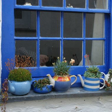 Deborah's garden