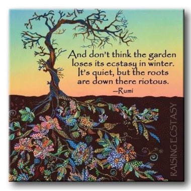 Sharon's garden