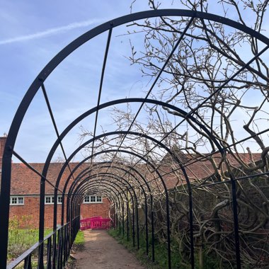 Sarah's garden