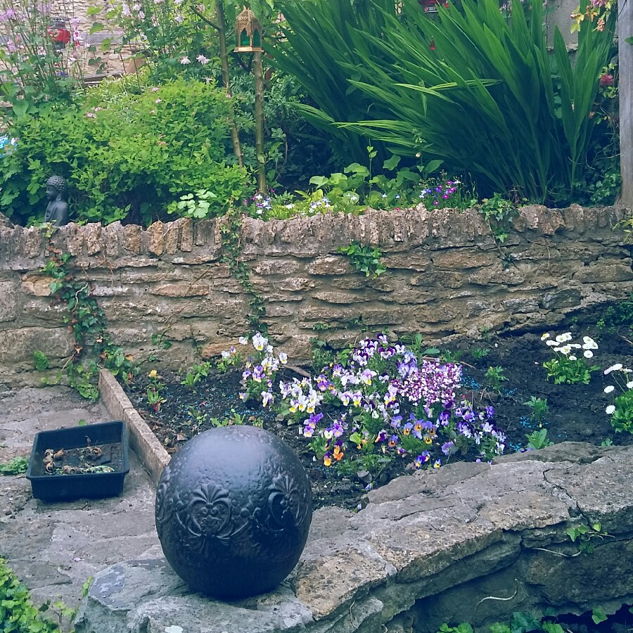 Jess's garden