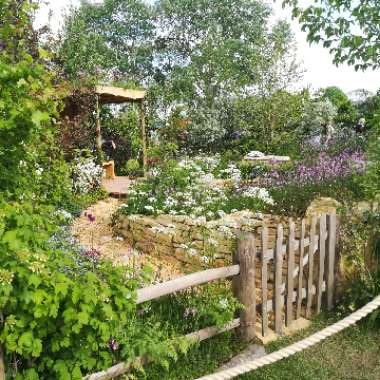 Heather's garden