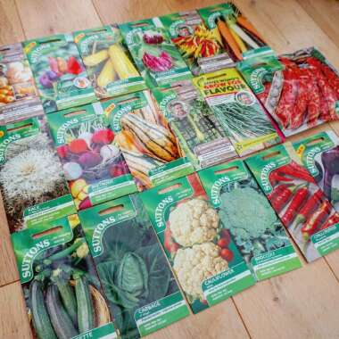 Lyndsey's garden