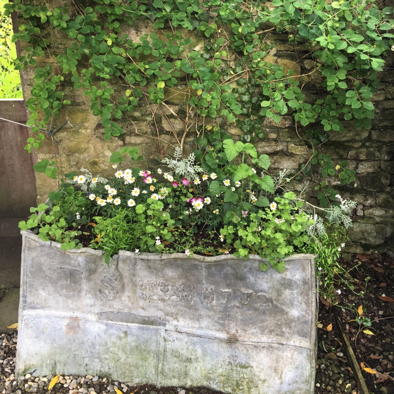 St. Nicholas's garden