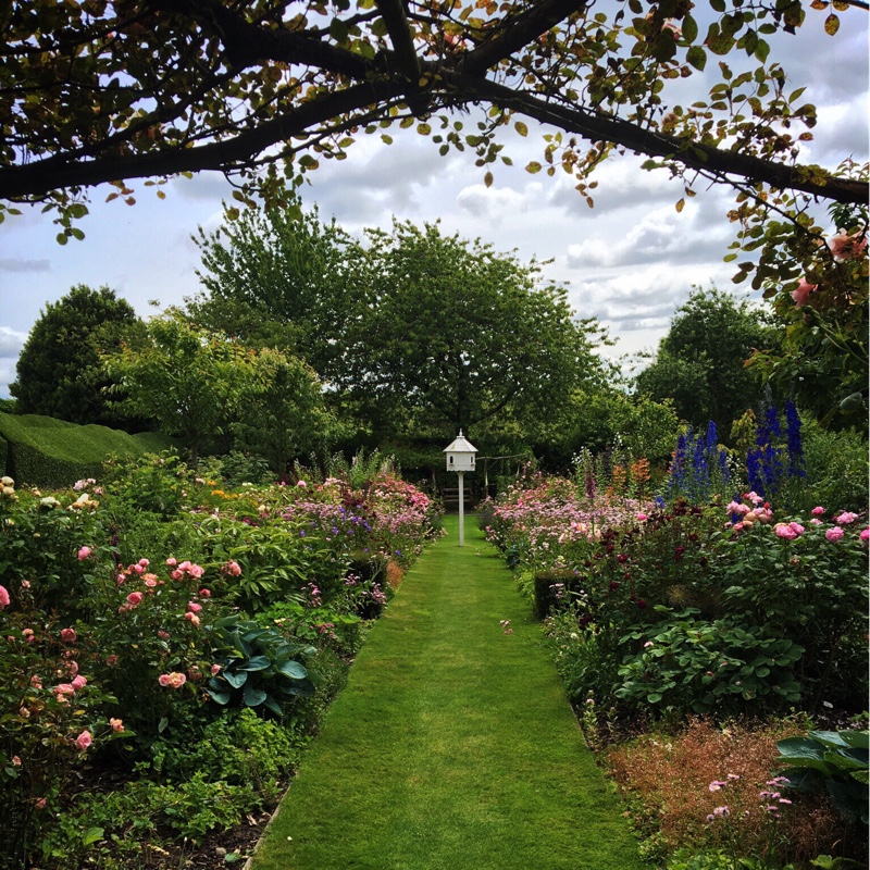 St. Nicholas's garden