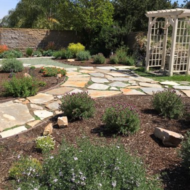 Susan's garden