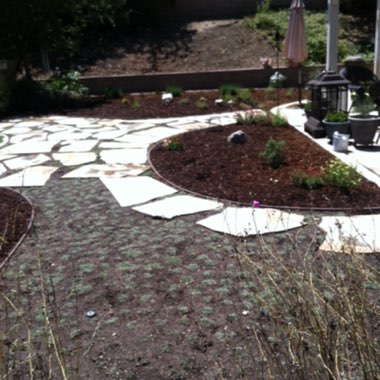 Susan's garden