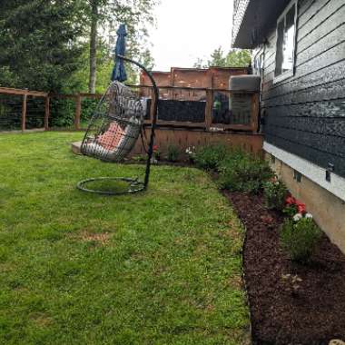 Bree's garden