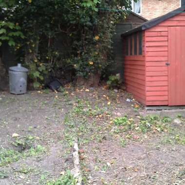 Naomi's garden