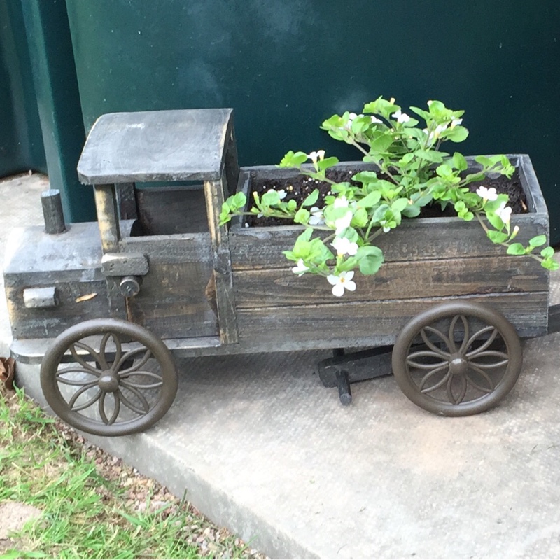 Susan's garden