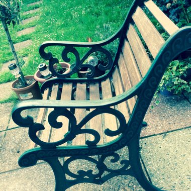 Susan's garden
