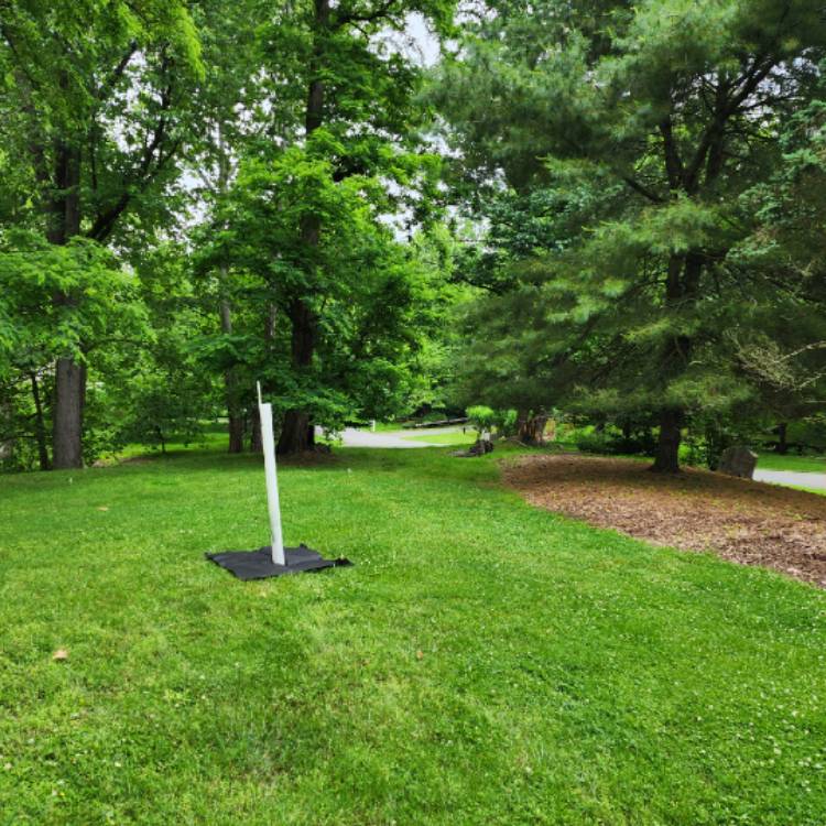 plant image 1712372