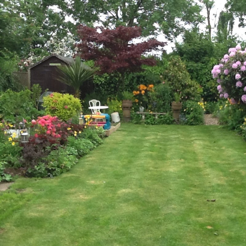 Susie's garden