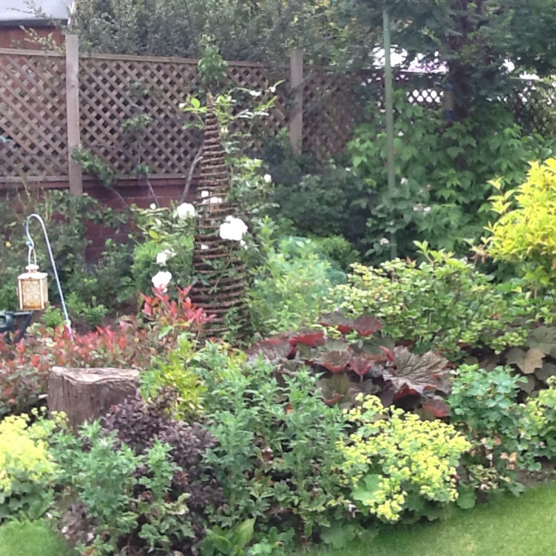 Susie's garden