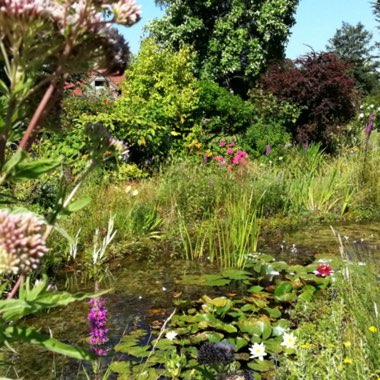 West Sussex's garden