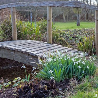 West Sussex's garden
