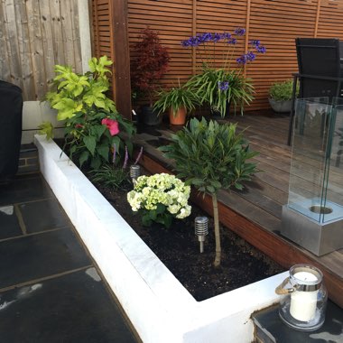 Samantha's garden