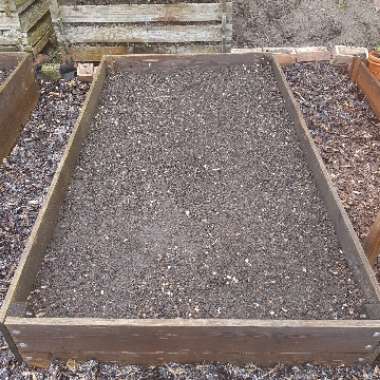 Jane's garden