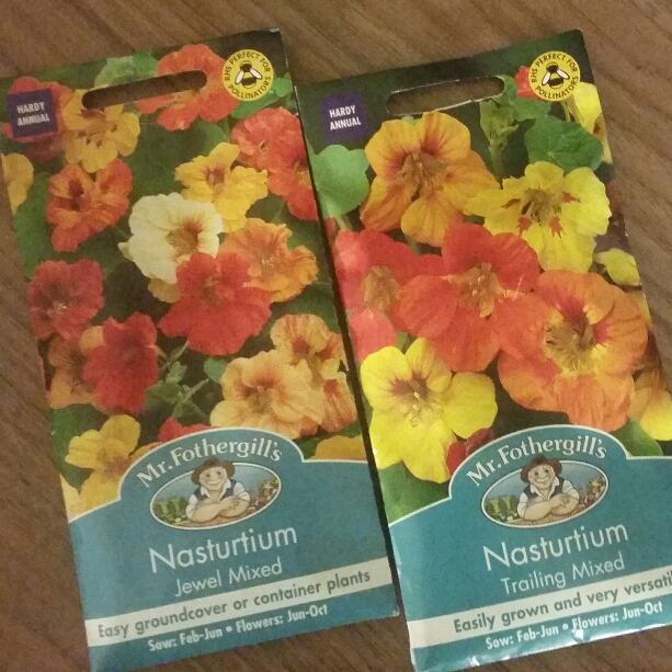 Plant image Tropaeolum majus 'Jewel Mix' (Mix)
