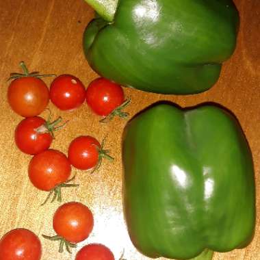Growing with's garden