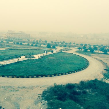 syed Ijaz Ul Haq's garden