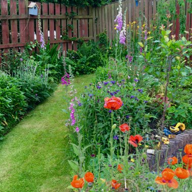 J's garden