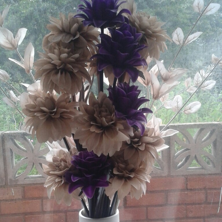 Tammy's garden