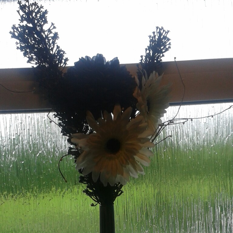 Tammy's garden