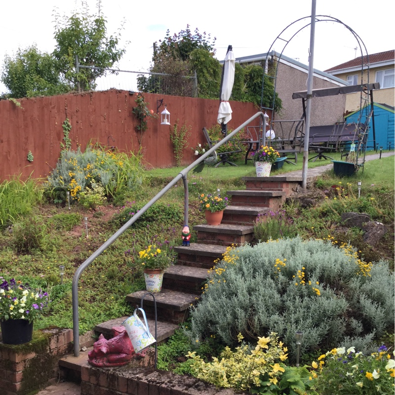 Jayne's garden