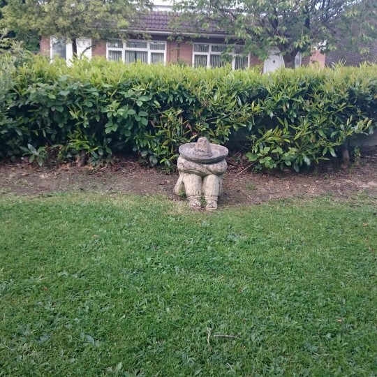 Tina's garden