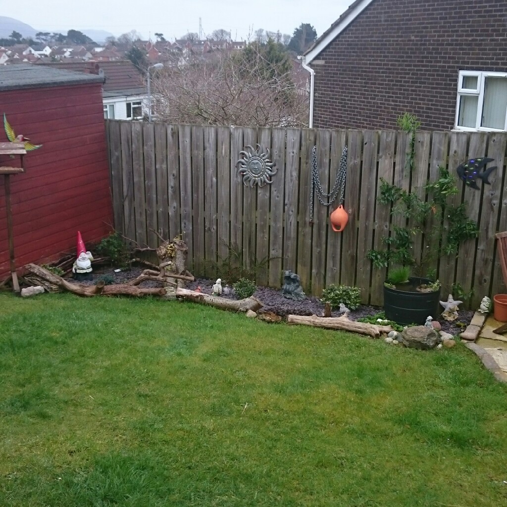 Tina's garden