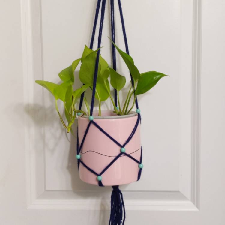 plant image 1430416