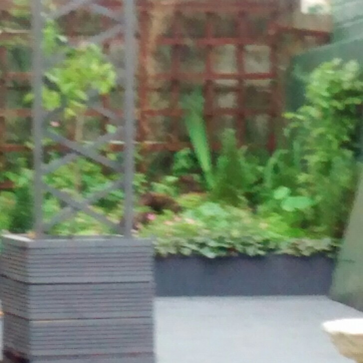 Neil's garden
