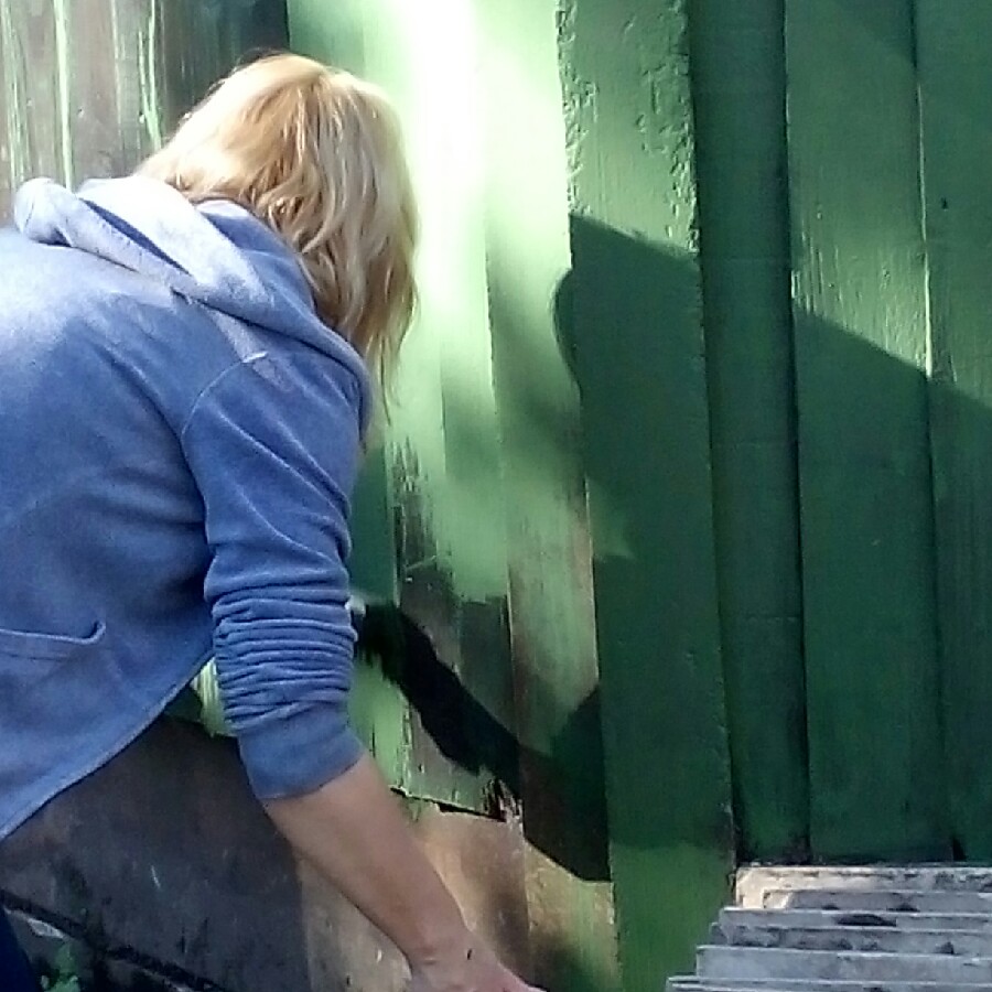 Neil's garden