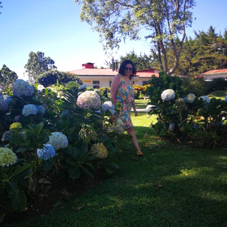 plant image 1559822