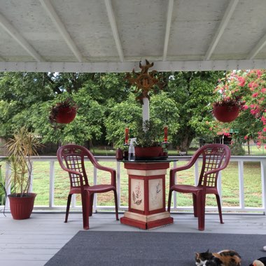 Terri's garden
