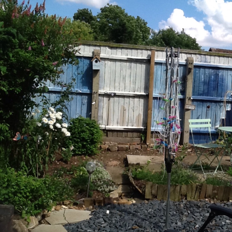 Terri's garden