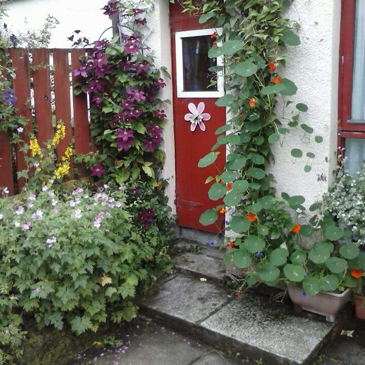 George's garden